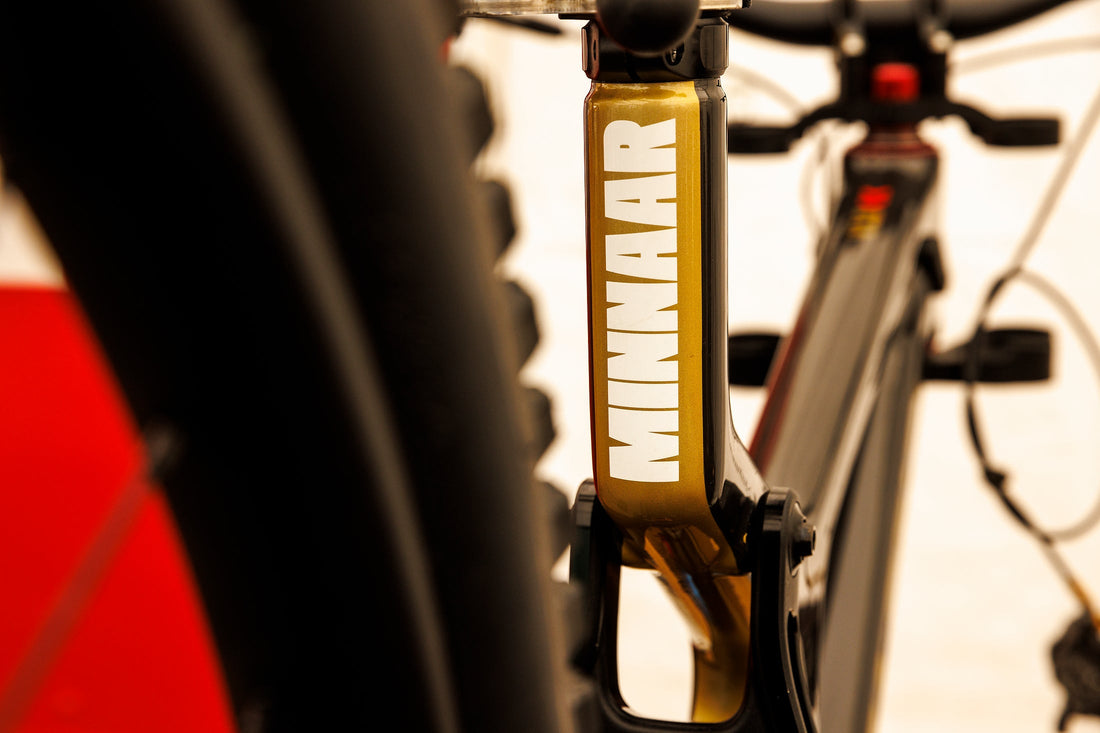 Bike Check: Greg Minnaar’s World Cup Santa Cruz V10